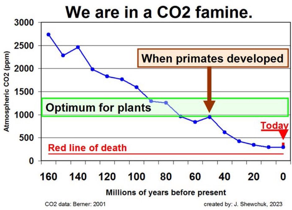 CO2 is good for us